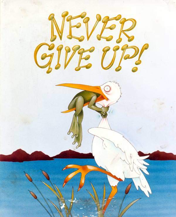 Image result for never give up frog