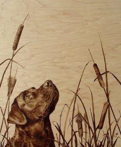 A black Labrador dog poses in this photorealistic wood burning art work by Julie Bender