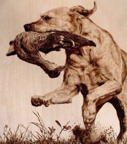 A photorealistic portrait of a dog carrying a duck by wood burning artist Julie Bender