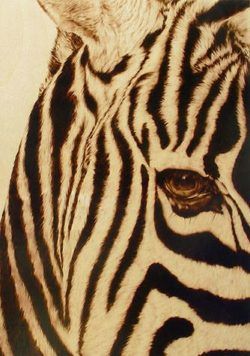 Julie Bender creates an incredible photorealistic portrait of a zebra with wood burning