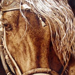 A beautiful photorealistic animal portrait of a horse, burned into wood by Julie Bender