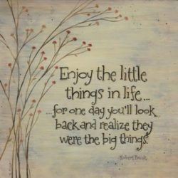 A cute picture quote about appreciating the little things in life