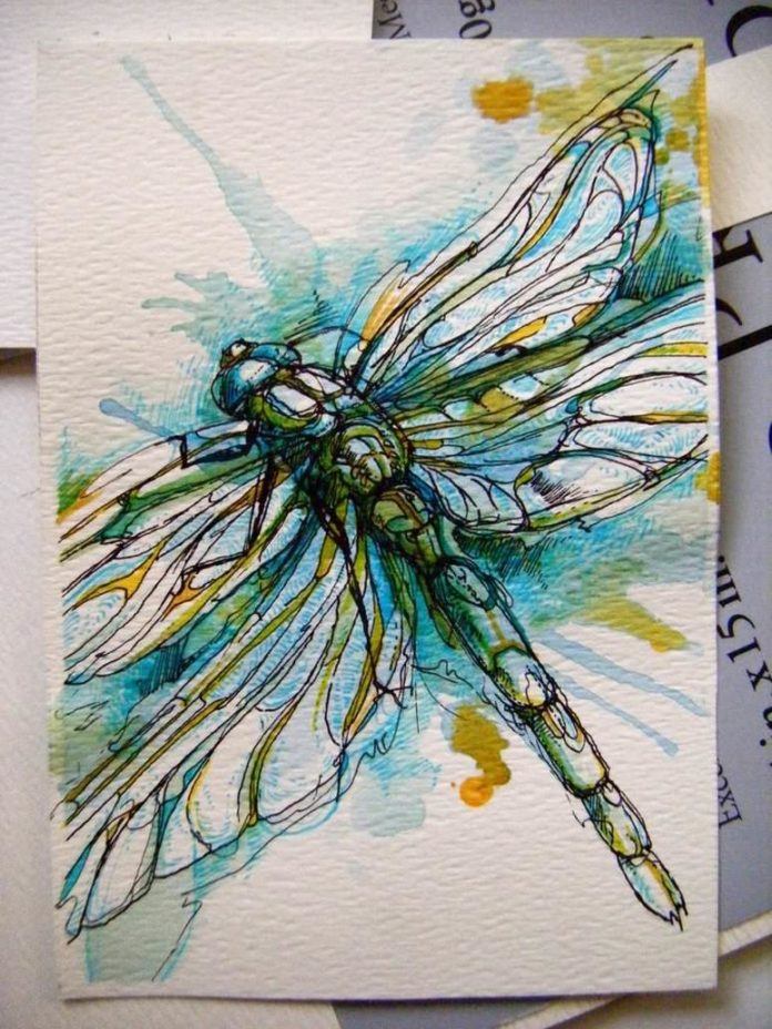 blue dragonfly patterns nature wings animal insect beautiful illustration design drawing painting