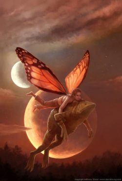 fairy guy carrying toad full moon magic fantasy illustration art painting