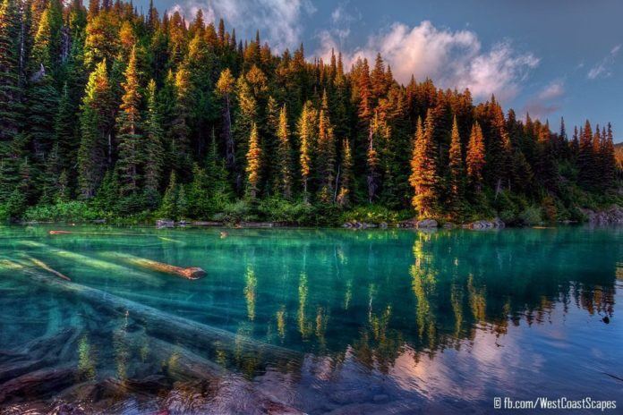 fairy tale rainbow hue photography nature landscape river forest art image picture print