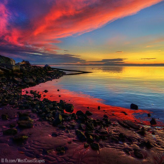 pink sunset clouds rocky sea shore beach beautiful nature landscape art print for sale buy online