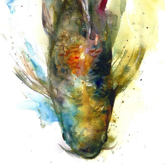 A colorful Dean Crouser watercolor painting of a fish as seen from above in birds eye view