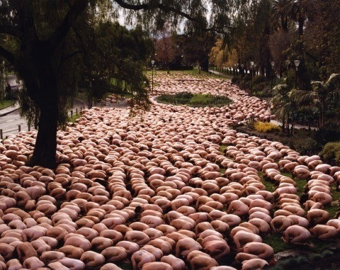 One of Spencer Tunick's mass nude photographs that uses thousands of volunteers to create a naked sea in Melbourne, Australia