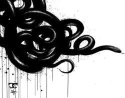 sit snake serpent dripping venom black and white beautiful animal art work hissing design
