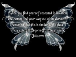 inspirational picture quote image butterfly cocoon change life advice personal strength
