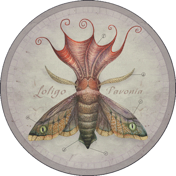 A painting by Vladimir Stankovic of a butterfly squid hybrid animal