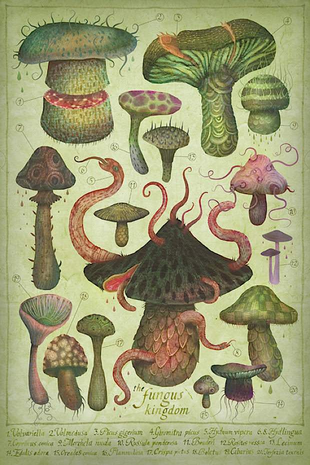 A painting by Vladimir Stankovic of magic mushroom with trippy tentacles