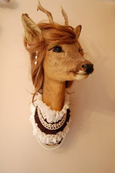 A taxidermy deer head with human hair wig and a lacey womens collar