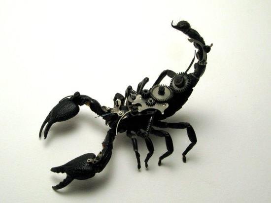A tough looking steampunk scorpion sculpture that uses clockwork parts by the Insect Lab
