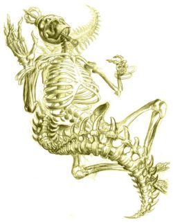 A skeleton dances with a snake spine in this tattoo sketch by Jee Sayalero