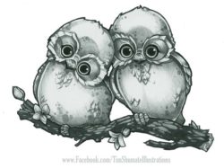 Two adorable baby owls cuddle on a branch in this cartoon illustration by Tim Shumate