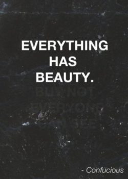 Confucious say Everything has beauty