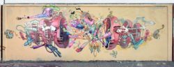 Mexican graffiti artist Dhear One designs a street ar mural of a human head falling to pieces and revealing a strange biology