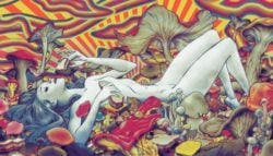 A beautiful girl lounges on a bed of psychedelic mushrooms in this trippy illustration by James Jean