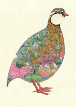 The pear tree is inside the partridge in this Christmas card illustration by Daniel Mackie.