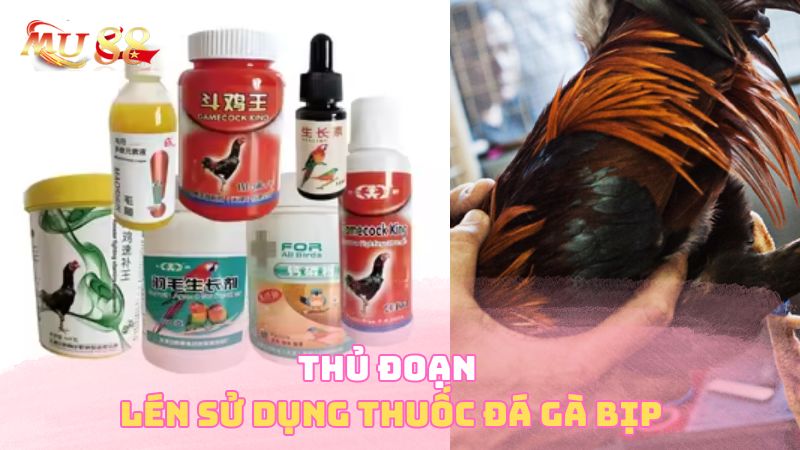 Thử đoạn lén sử dụng thuốc đá gà bịp